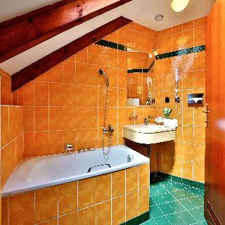 Carlton 4* Prag